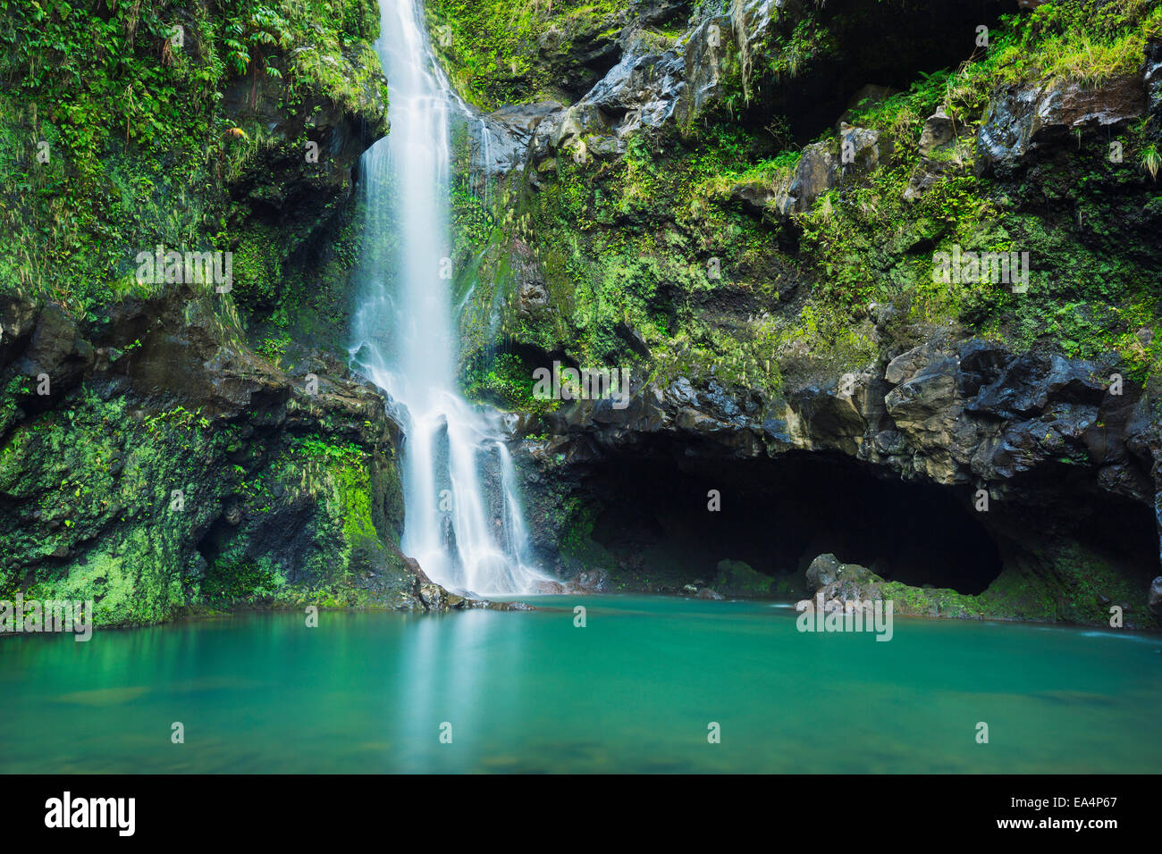 Beautiful lush waterfall on the road to Hana; Haiku, Maui, Hawaii