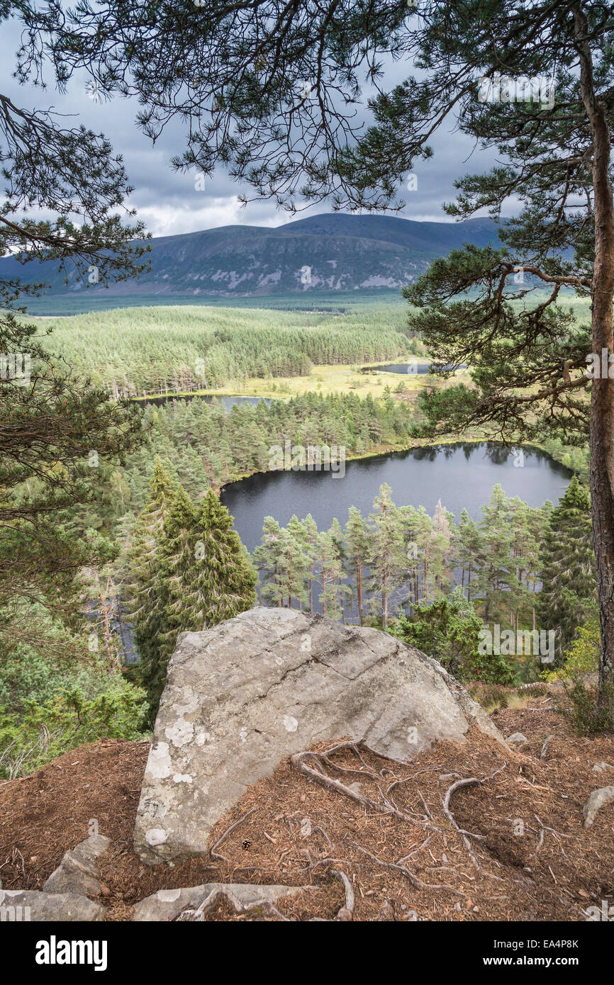 View over Uath Lochans at Glen Feshie in Scotland. Stock Photo