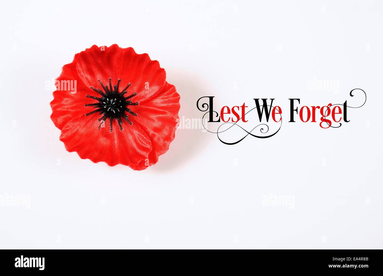 Lest We Forget, Red Flanders Poppy Lapel Pin Badge for November 11, Remembrance Day appeal. Stock Photo