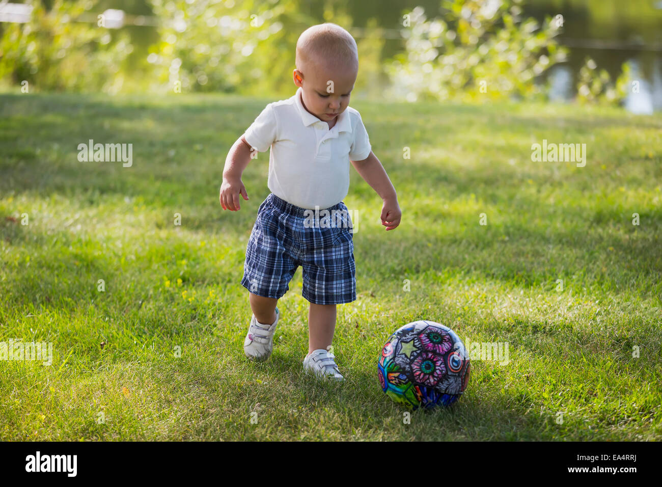 A toddler boy playing with a soccer ball in a park; Edmonton, Alberta, Canada Stock Photo Alamy