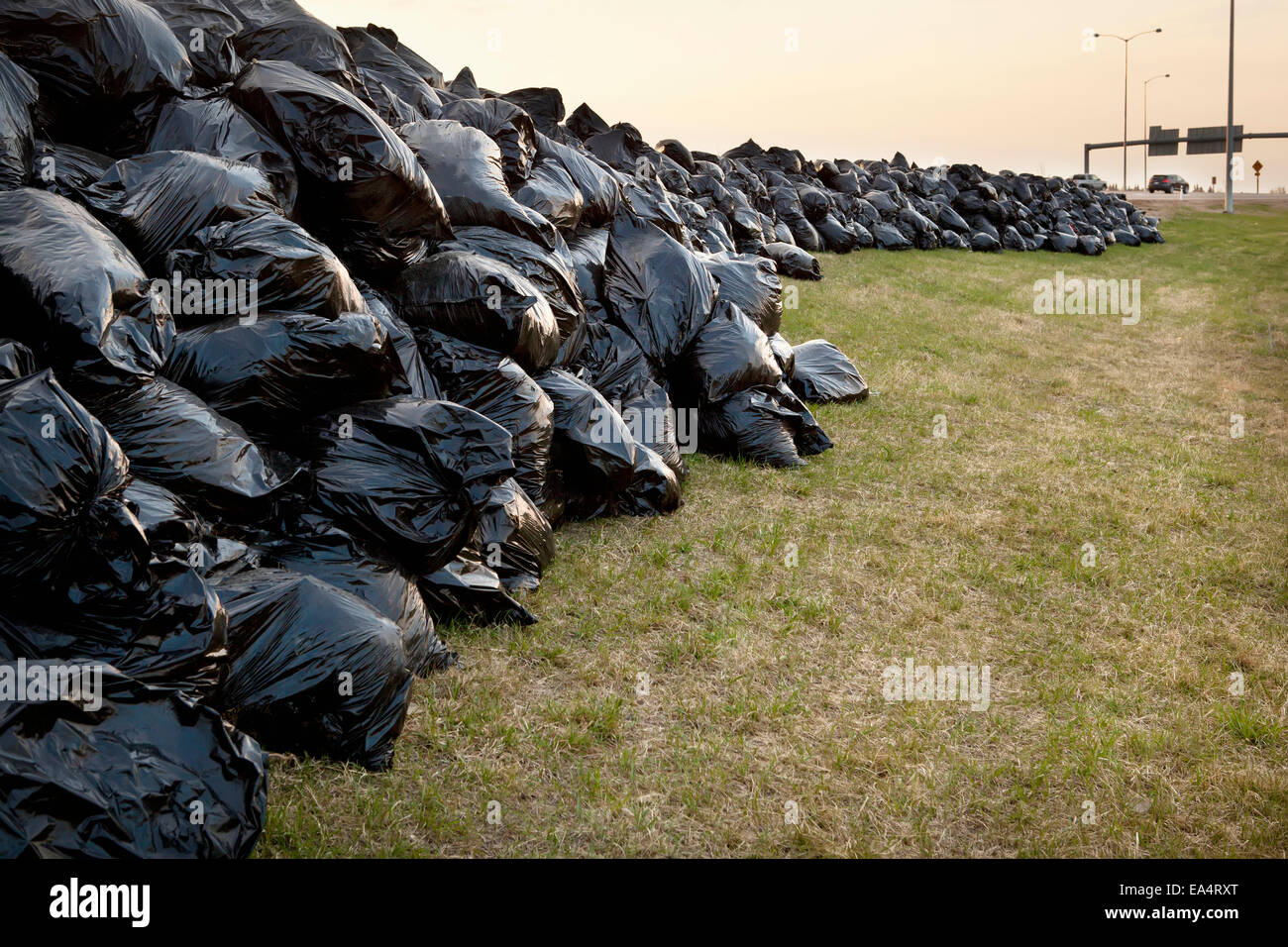 Hundreds of full black garbage bags along the Anthony Henday Highway