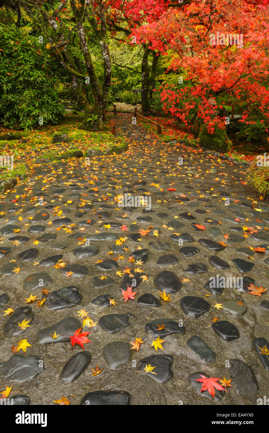 Autumn colors in Butchart Gardens-Victoria, British Columbia, Canada. Stock Photo