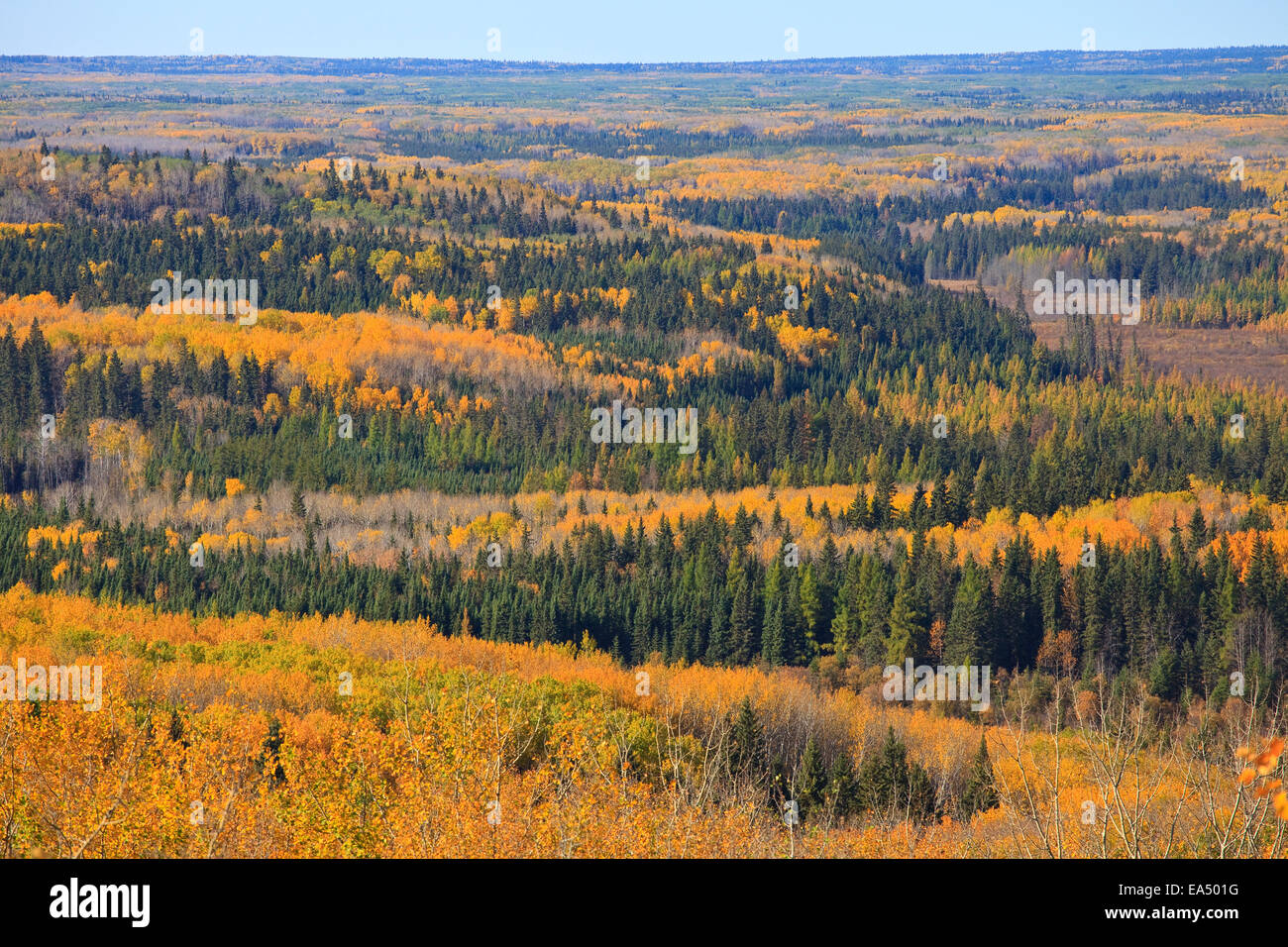 Prince Albert National Park, Saskatchewan, Canada Stock Photo - Alamy