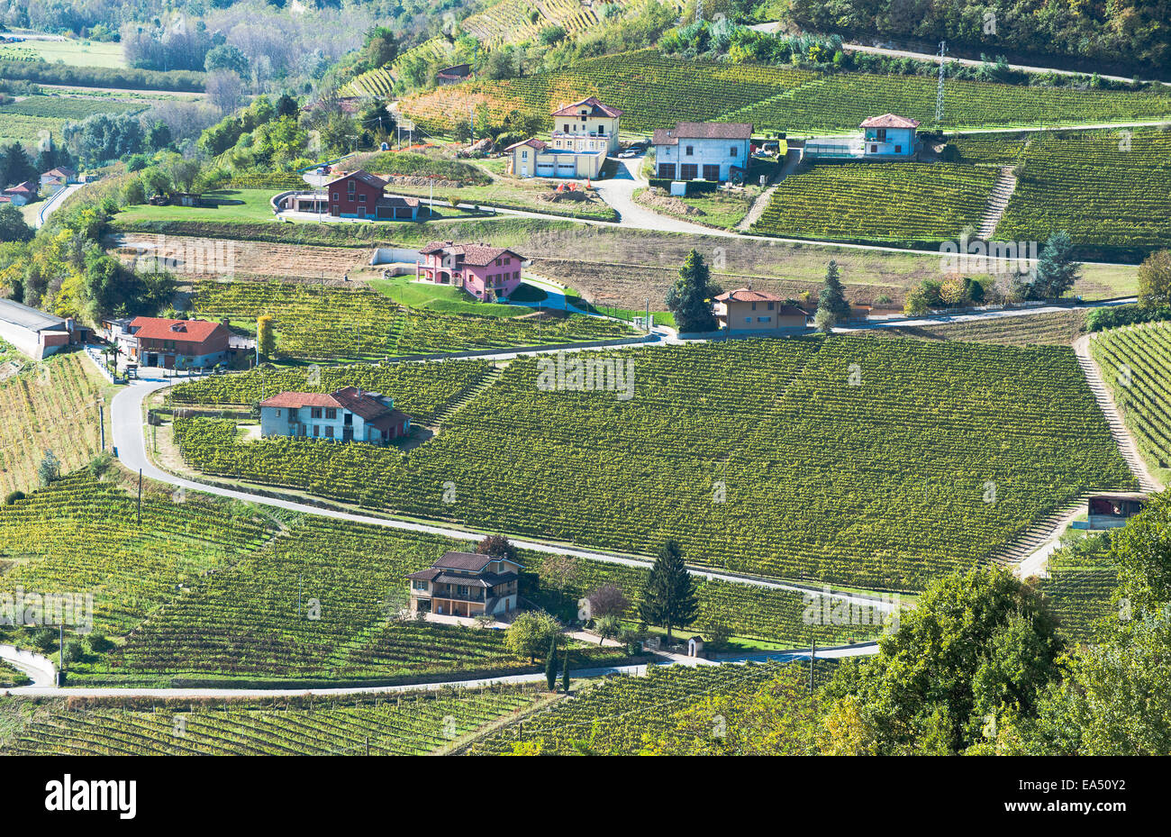 Italy,panorama of vineyards of Piedmont: Langhe-Roero and Monferrato on the World Heritage List UNESCO Stock Photo