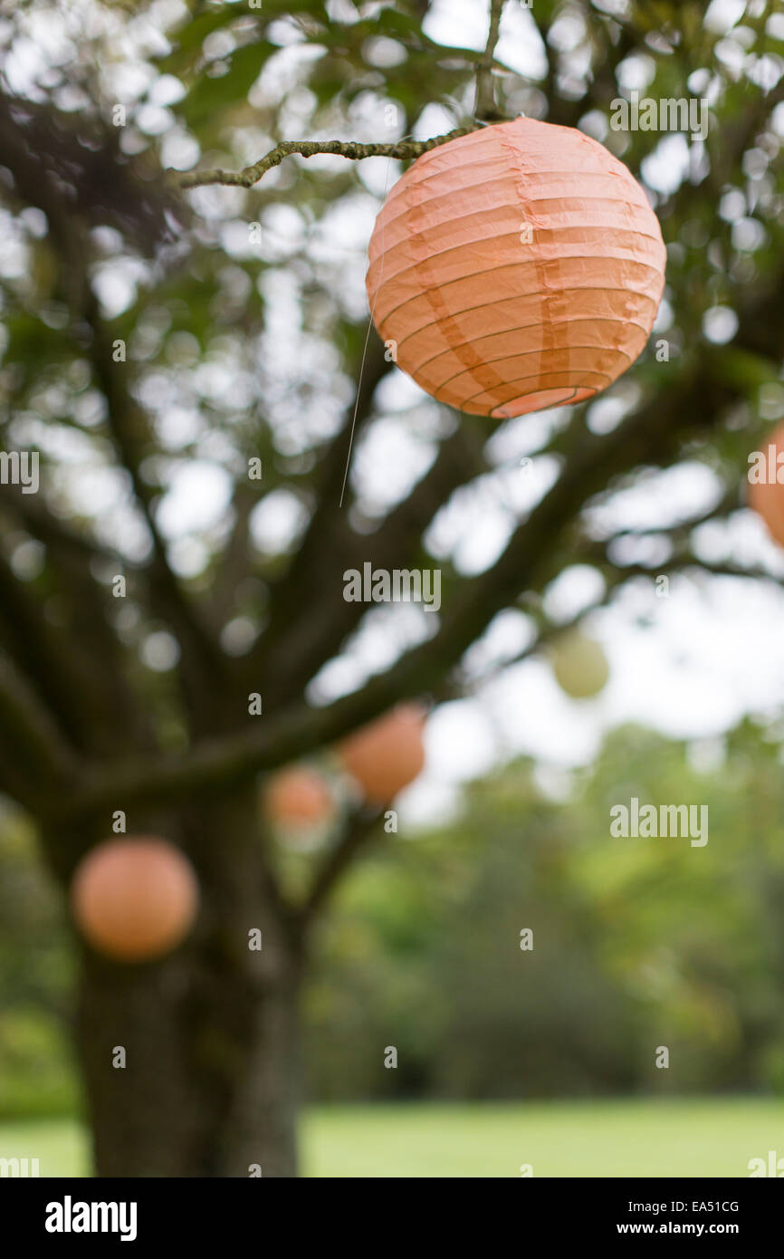 Tree of lanterns hires stock photography and images Alamy