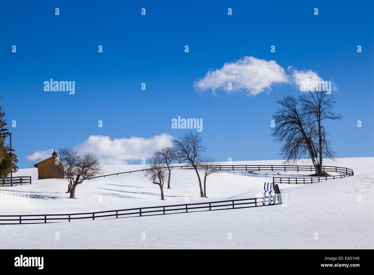 Winter farm scene with fences and shelter. Stock Photo