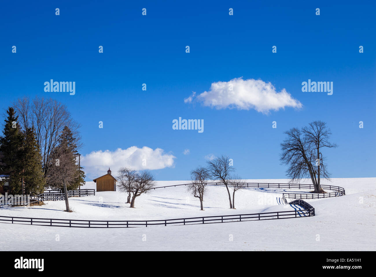 Winter farm scene with fences and shelter. Stock Photo