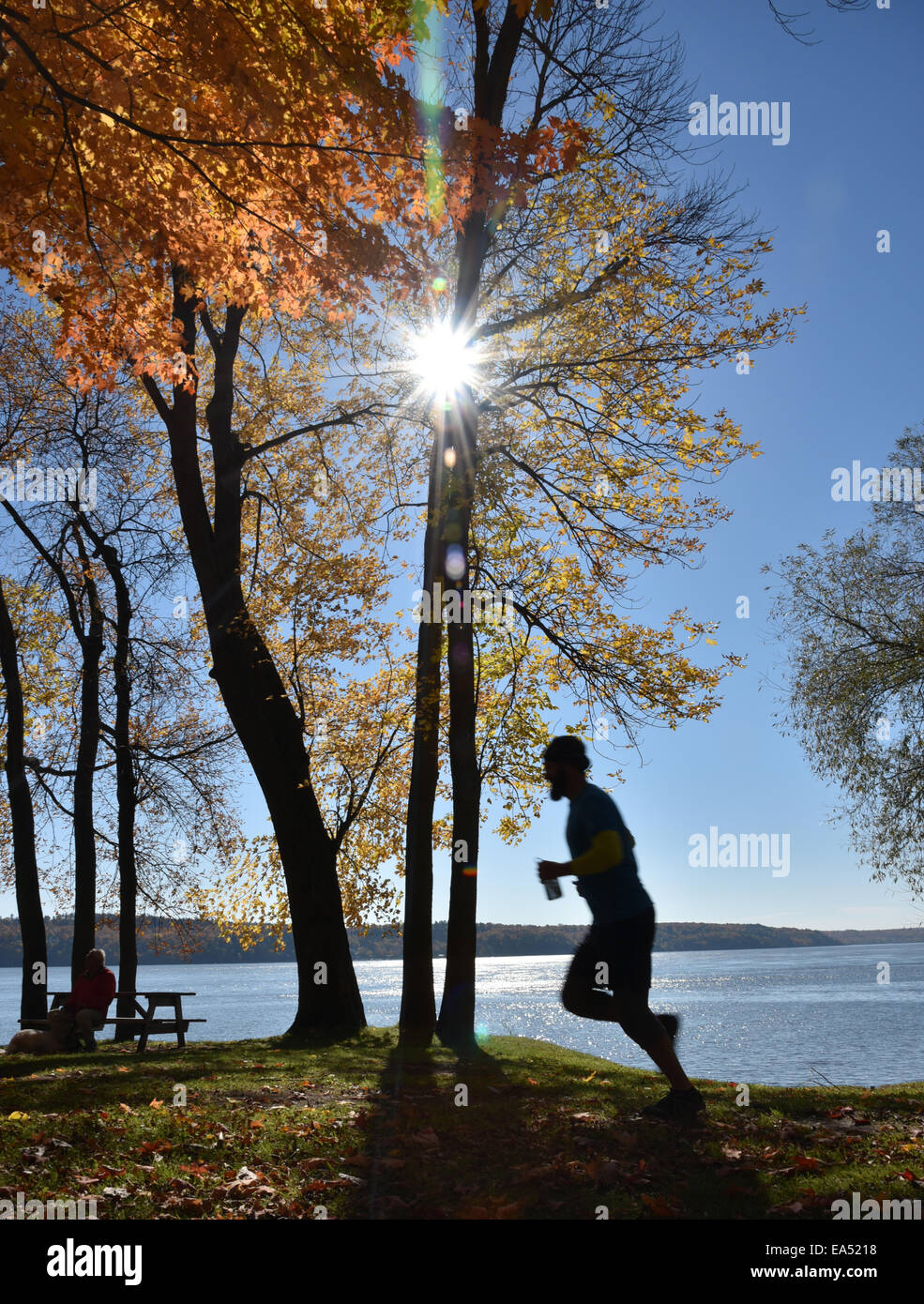 A Jogger On The Banks Of The St Lawrence In The Plage De