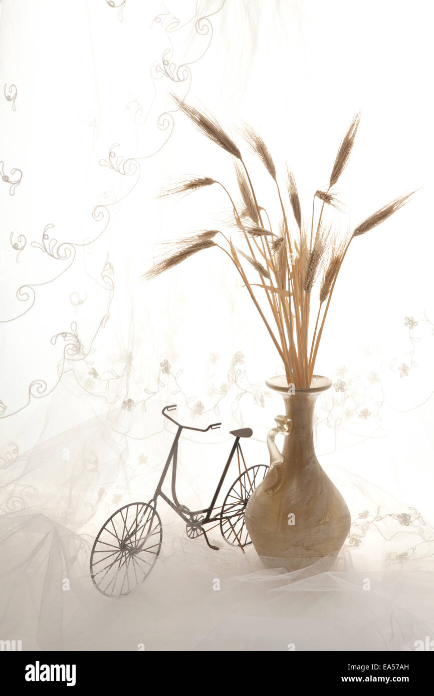Potted flowers and vintage bike Stock Photo