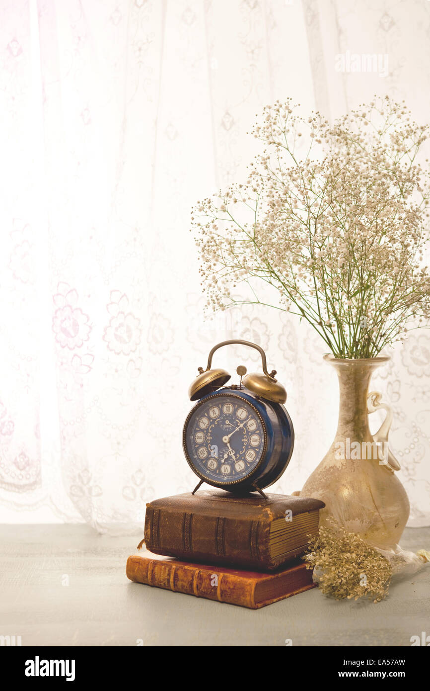 Potted flowers books and clock Stock Photo