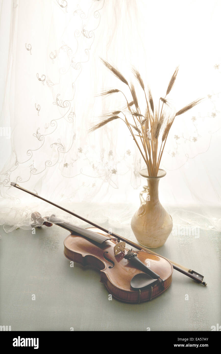 Potted flowers and violin Stock Photo
