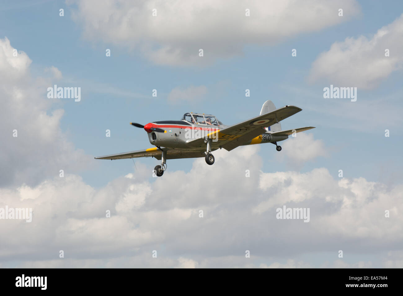 A former Royal Air Force De Havilland DHC-1 Chipmunk Mk22 WP800 makes it final approach before landing at an airfield in Essex. Stock Photo