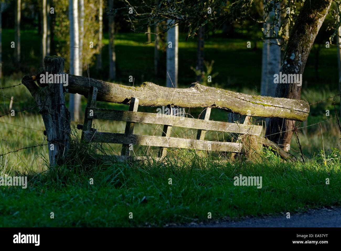 Traditional wood fence hi-res stock photography and images - Alamy