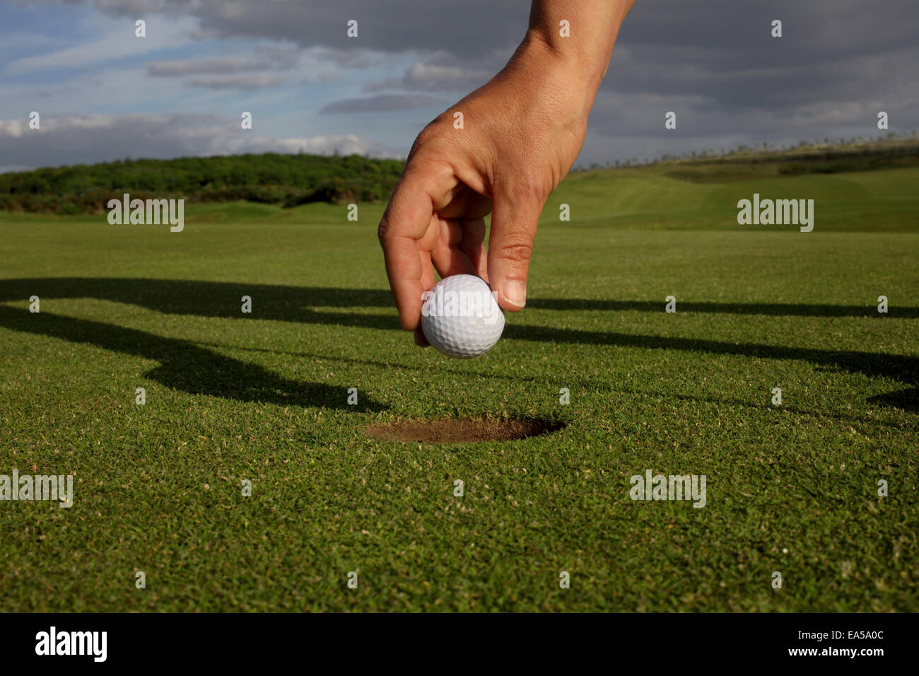 A shot of picking up the golf ball Stock Photo Alamy