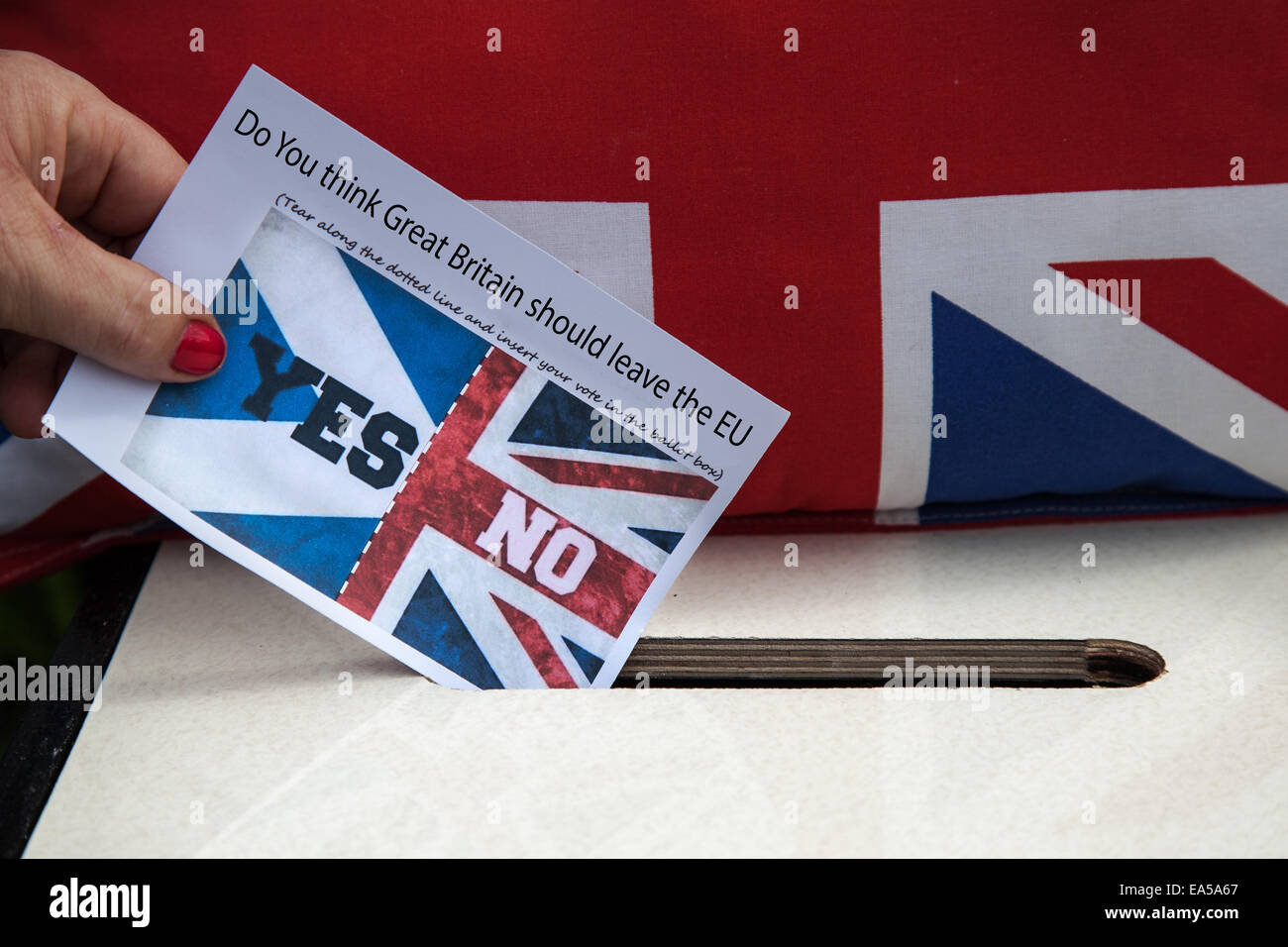Women Voter  Do You think Great Britain should leave the EU  Yes or No Voting slip in Ballot Box. Stock Photo