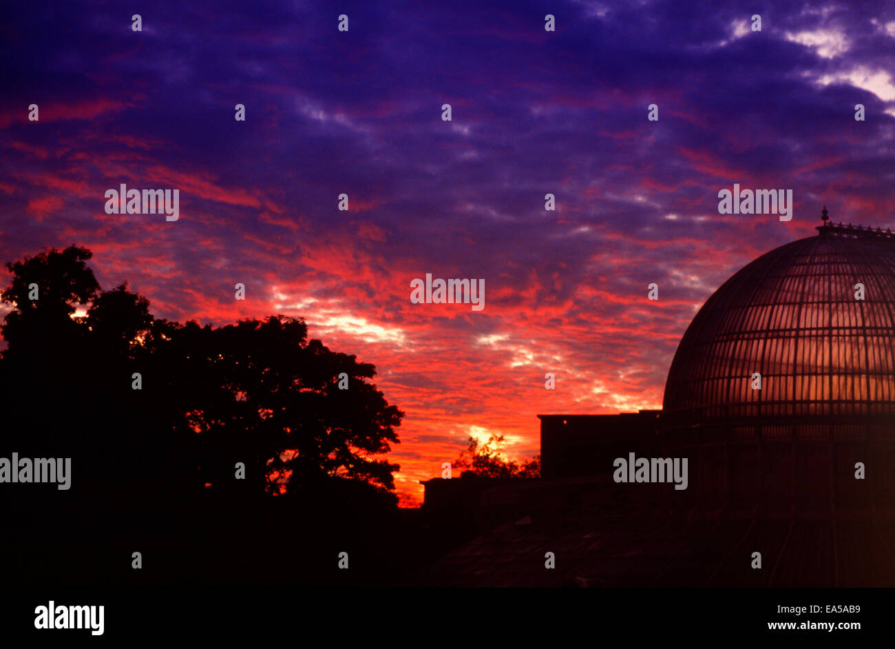 Sunset Botanic gardens Belfast, Northern Ireland Stock Photo