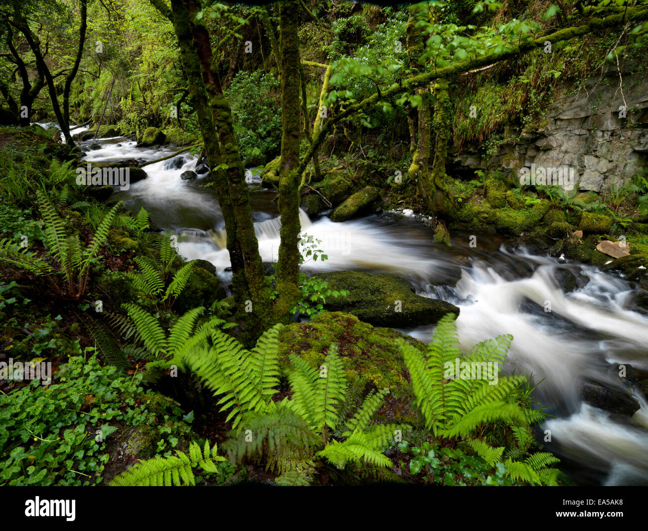 Torc Waterfall, Killarney, Ring of Kerry, Co.Kerry Stock Photo