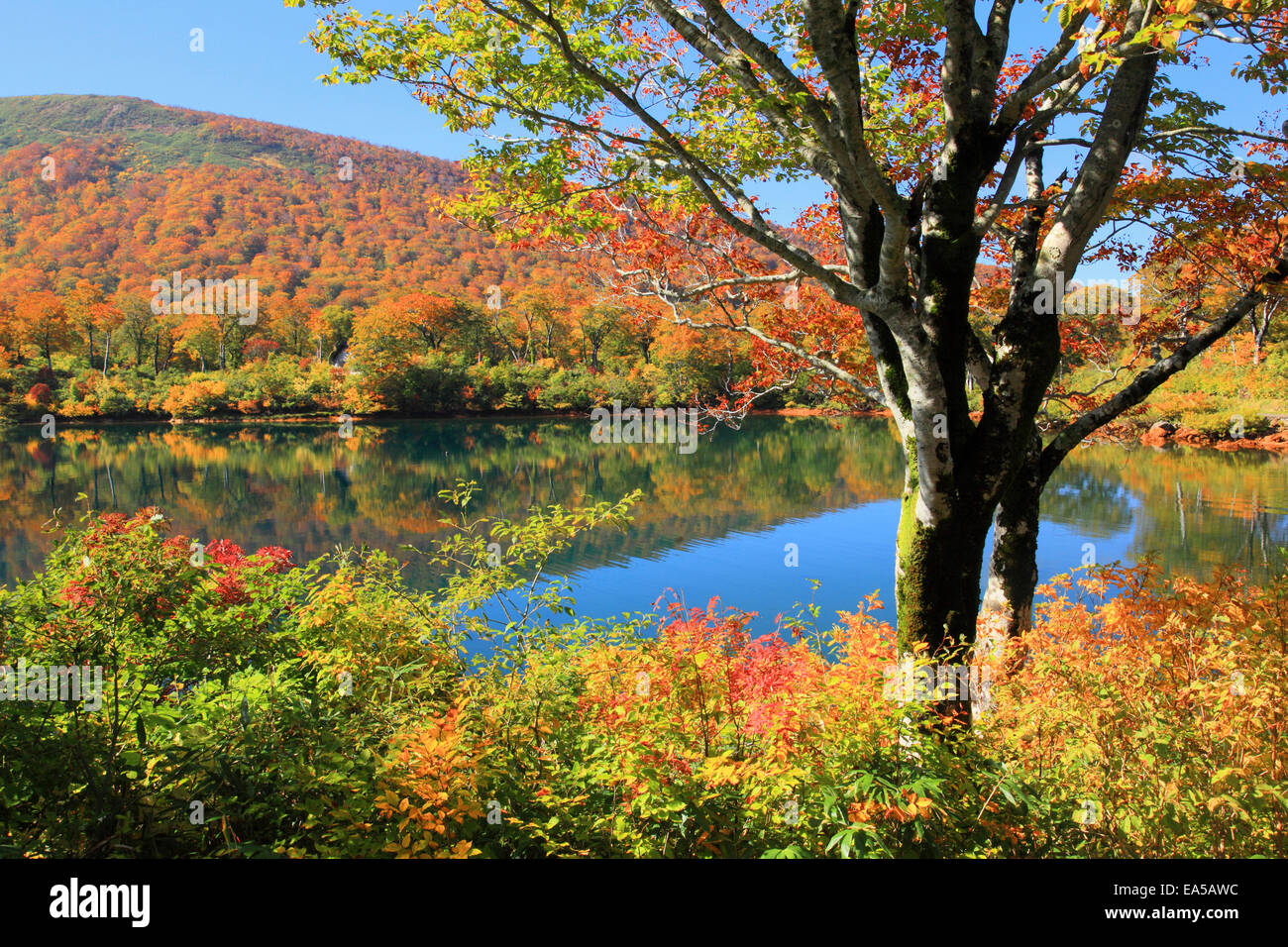 Akita Prefecture, Japan Stock Photo - Alamy