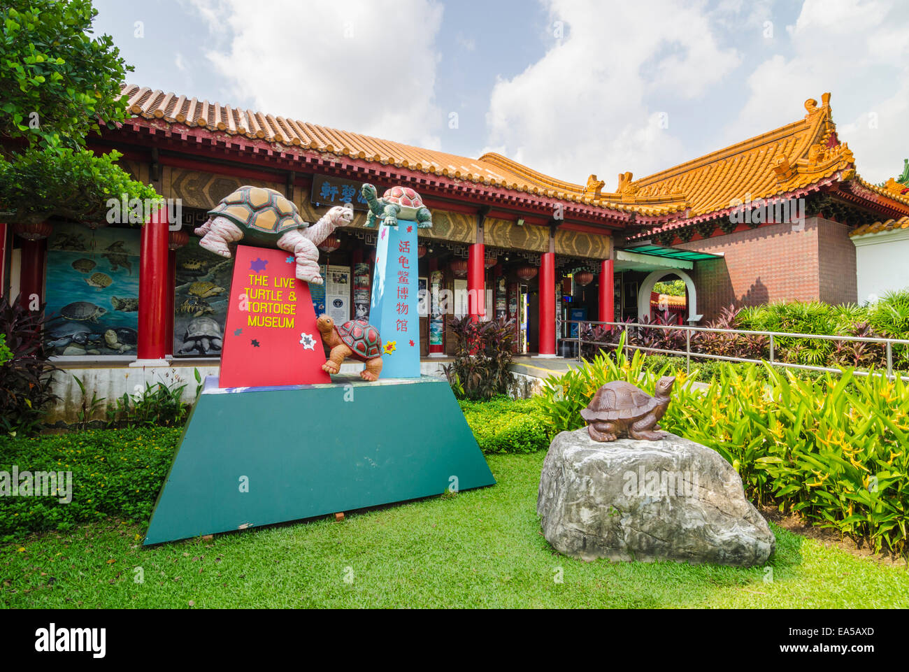 The Live Turtle and Tortoise Museum in the Chinese Gardens, Singapore Stock Photo