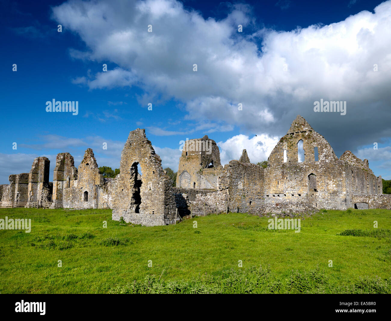 Athassel Abbey, Golden; Tipperary, Ireland Stock Photo Alamy