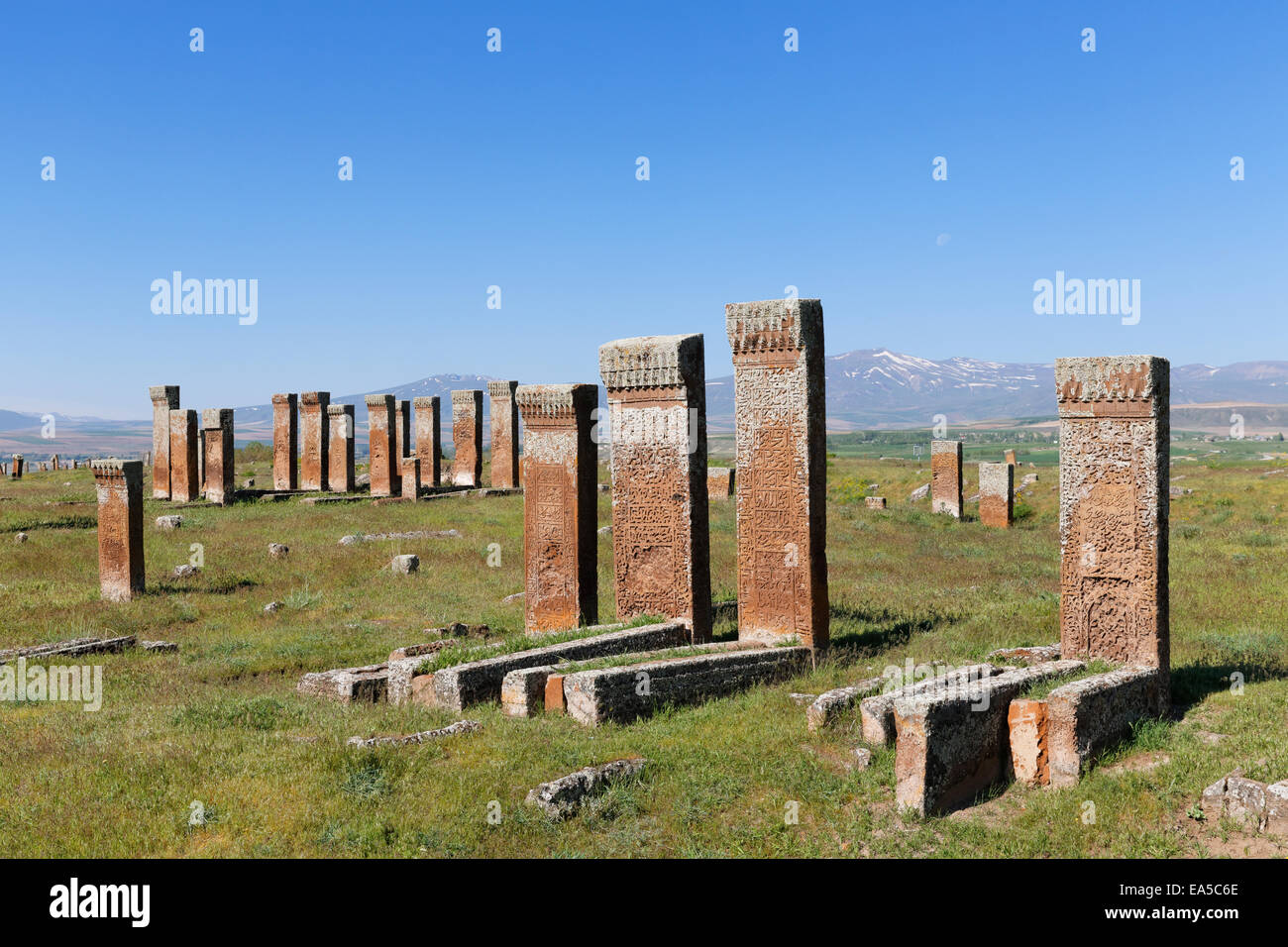 Turkey, Anatolia, Eastern Anatolia Region, Bitlis Province, Ahlat, Seljukian grave yard, Selcuklu Mezarligi Stock Photo
