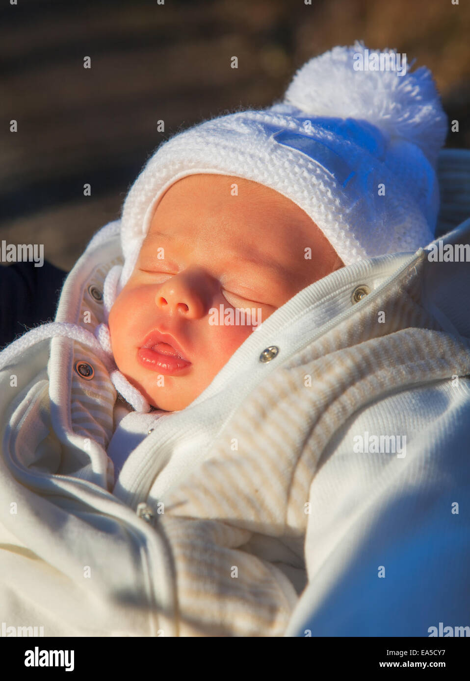 Baby boy of 3 weeks old taken out for fresh air in the woods. Stock Photo