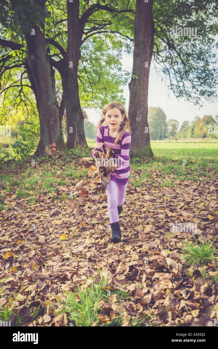 Little girl playing with autumn leaves Stock Photo - Alamy