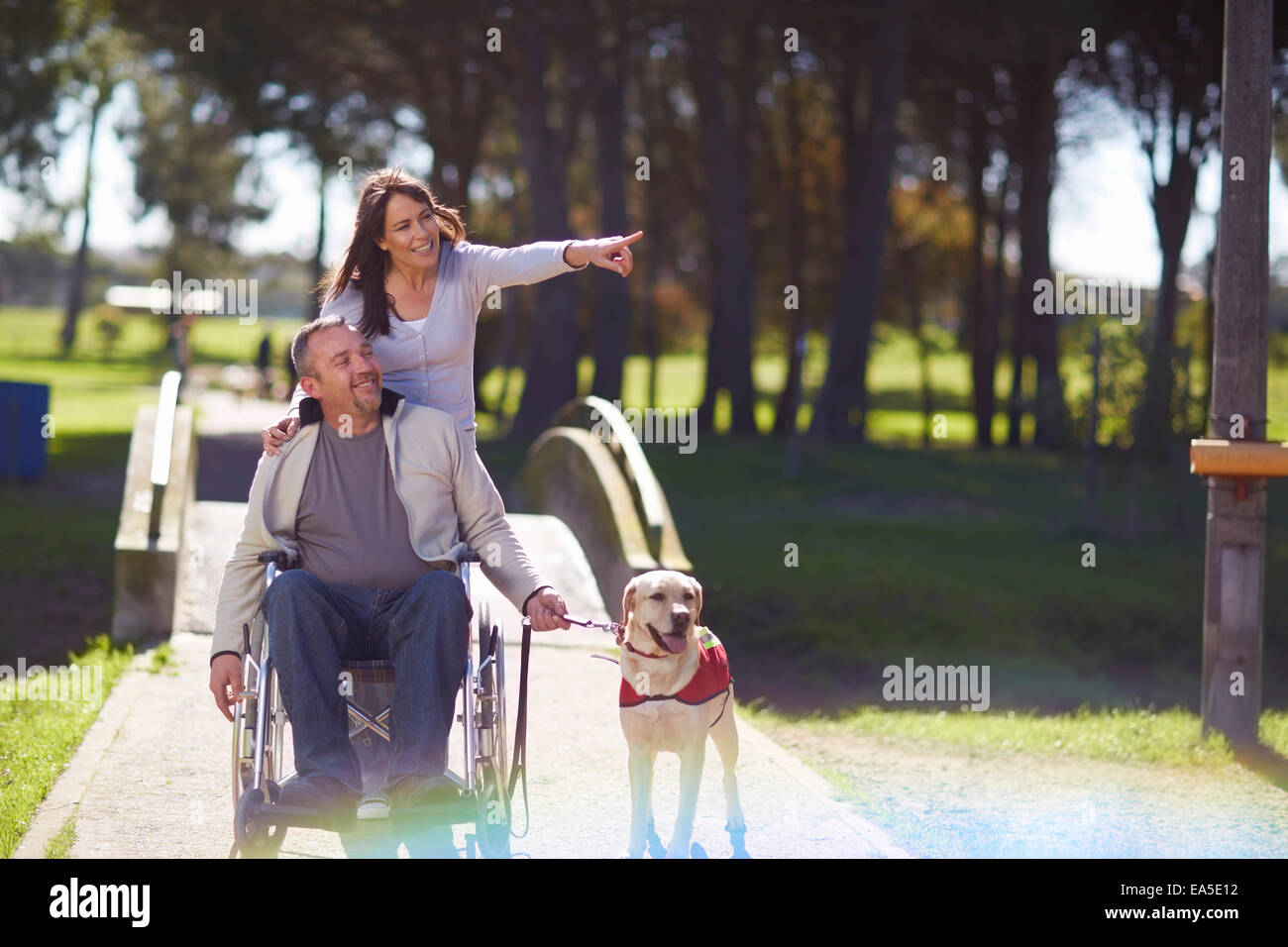 Disabled woman assistance dog hi-res stock photography and images - Alamy