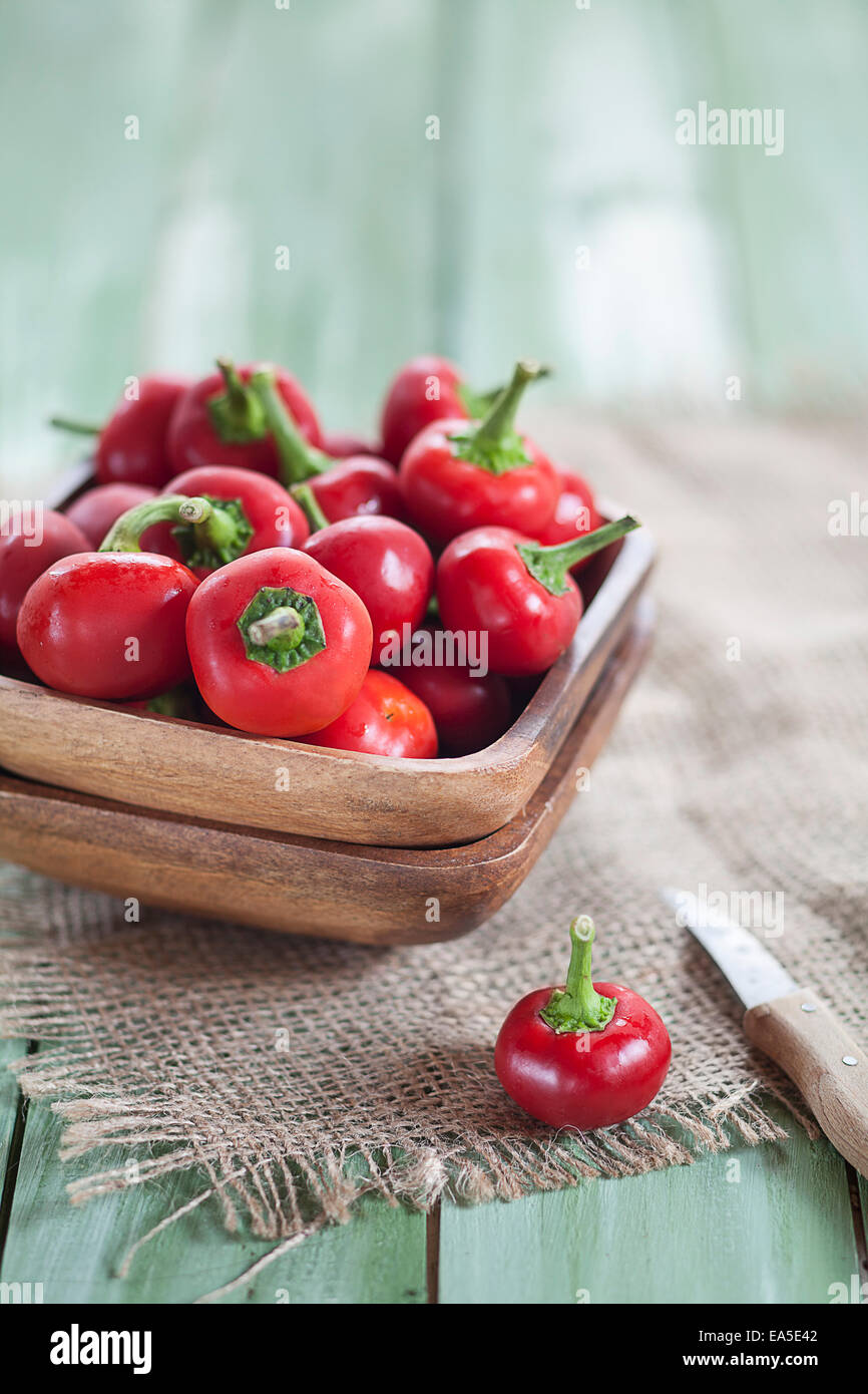 Bowl of Cascabel chili, Capsicum annuum var. cerasiforme, on cloth and