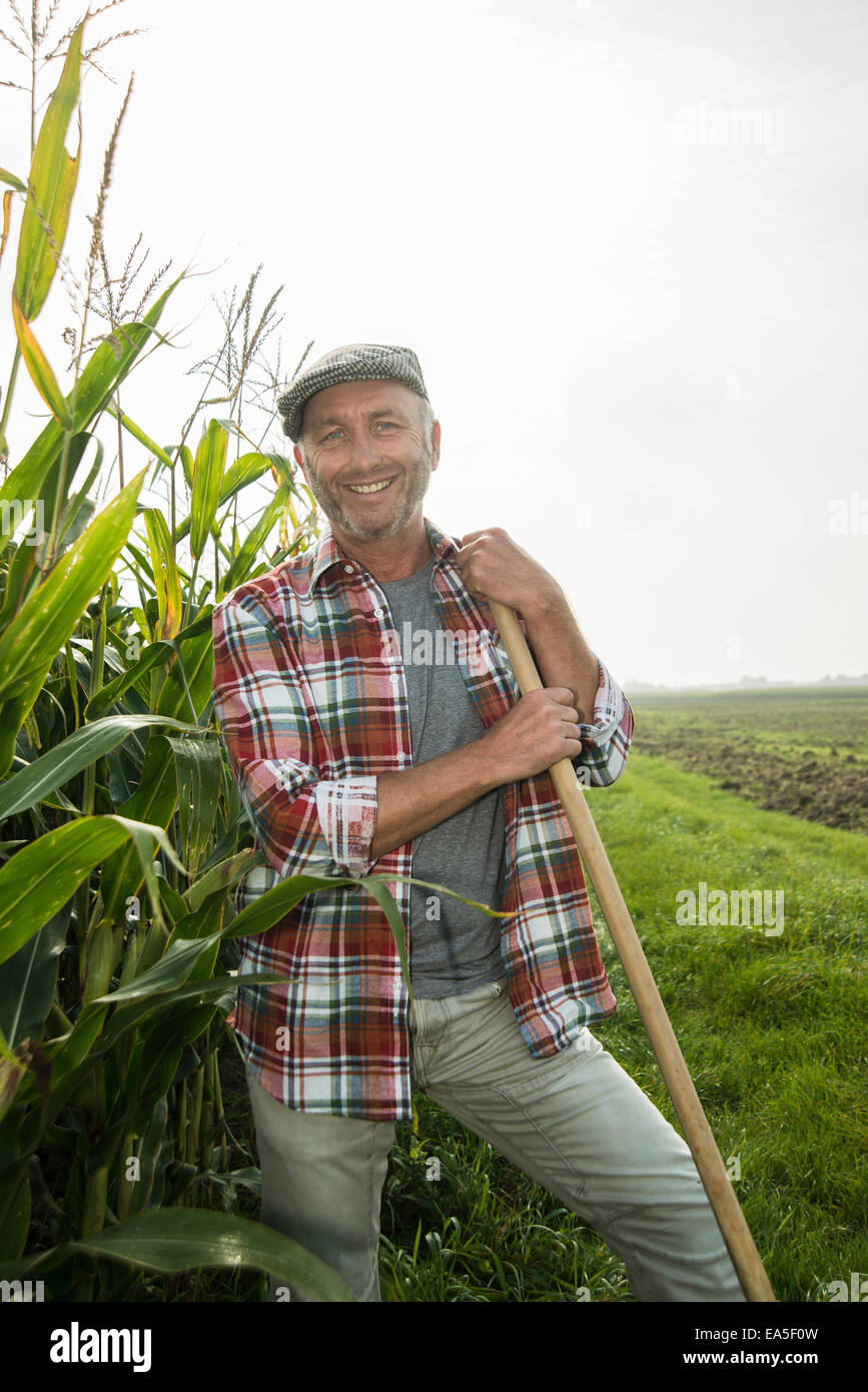 Portrait of smiling farmer standing besides a maize field Stock Photo ...
