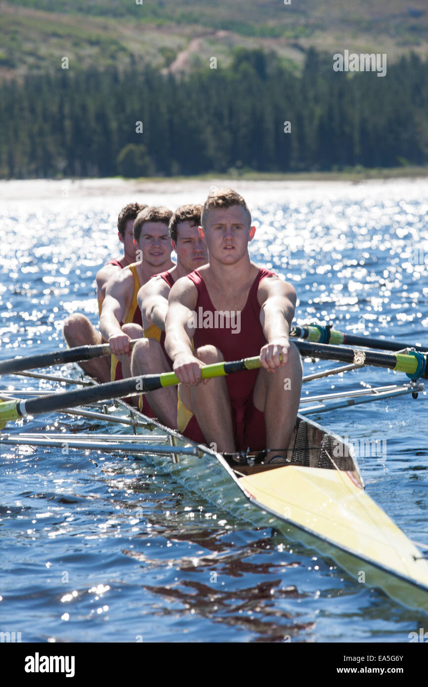 Coxless four rowing boat in water Stock Photo - Alamy