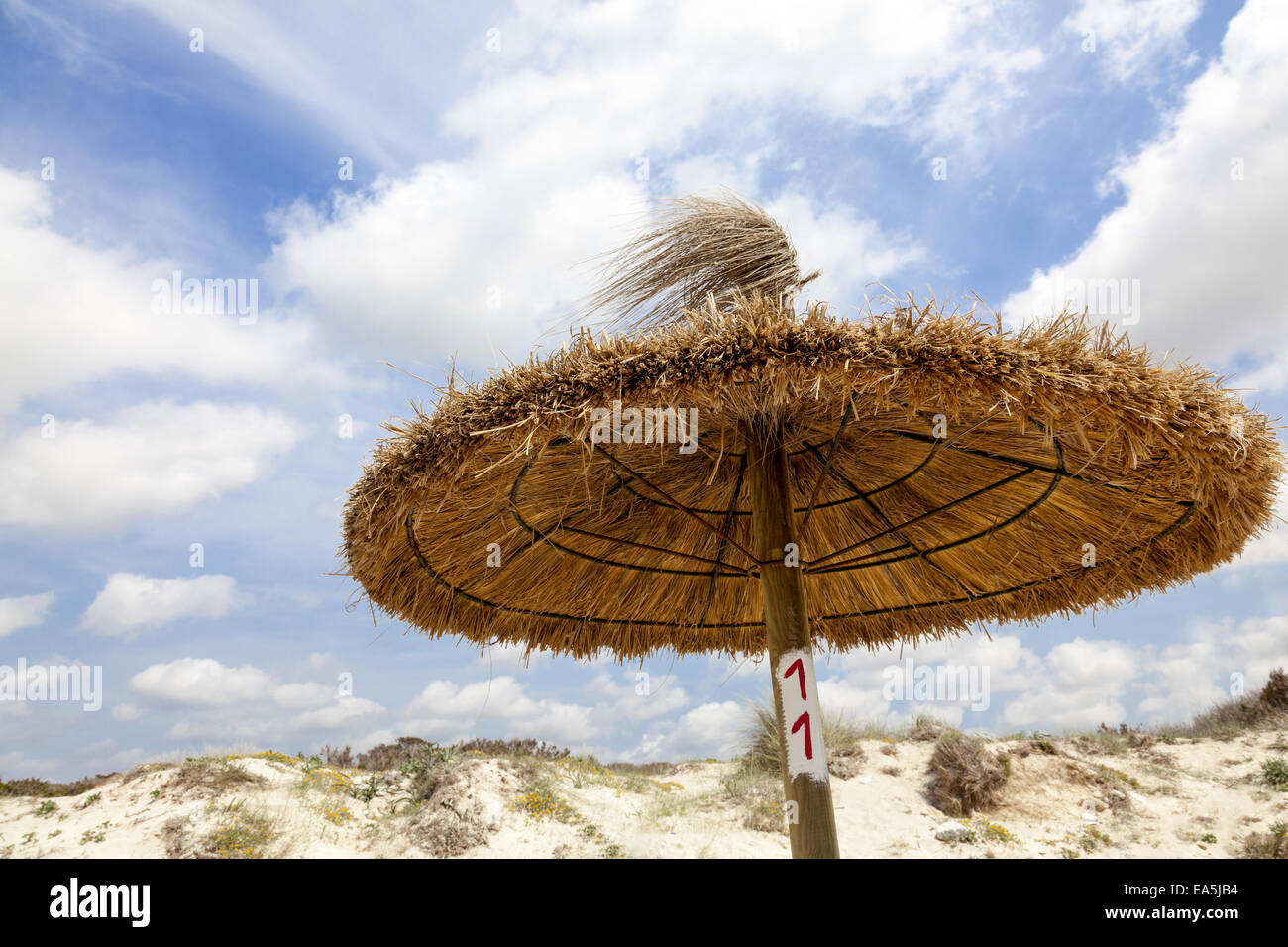 Stroh sonnenschirme hires stock photography and images Alamy