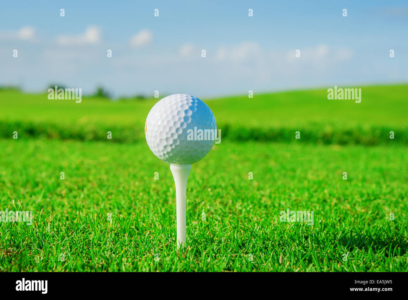 Golf club. Green field and ball in grass Stock Photo Alamy