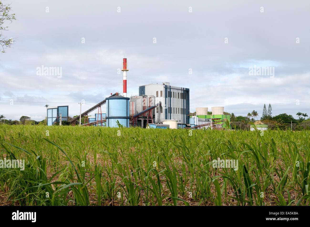 Electricity power station near sugar hires stock photography and