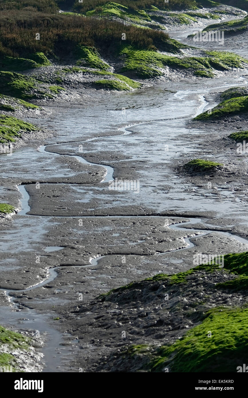 Water channel running through tidal marsh mud flats in Essex, England
