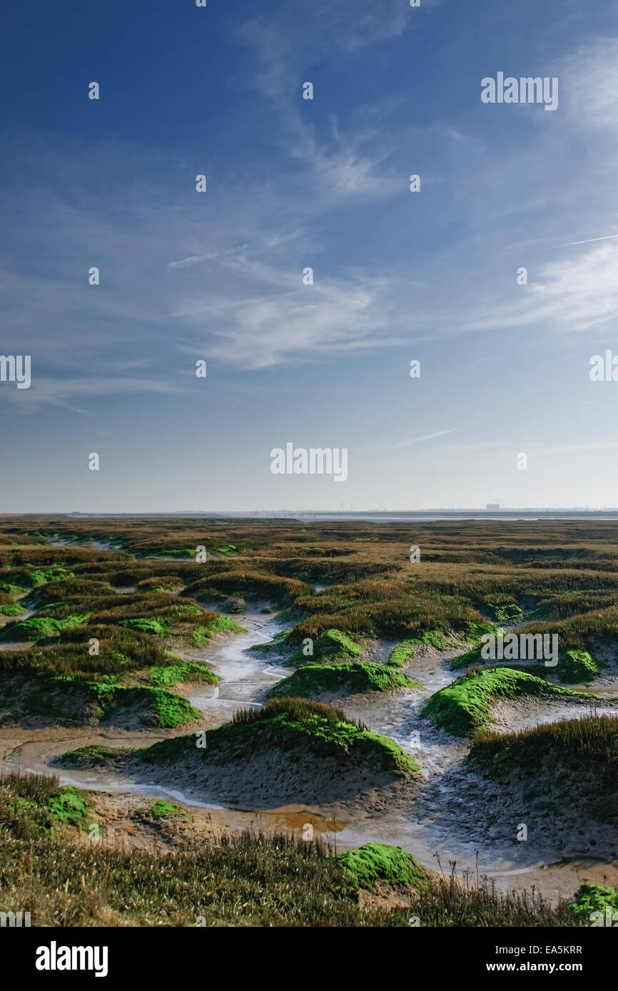 Copt Hall Marshes, Essex, Kent, on sunny day with blue sky and wispy ...