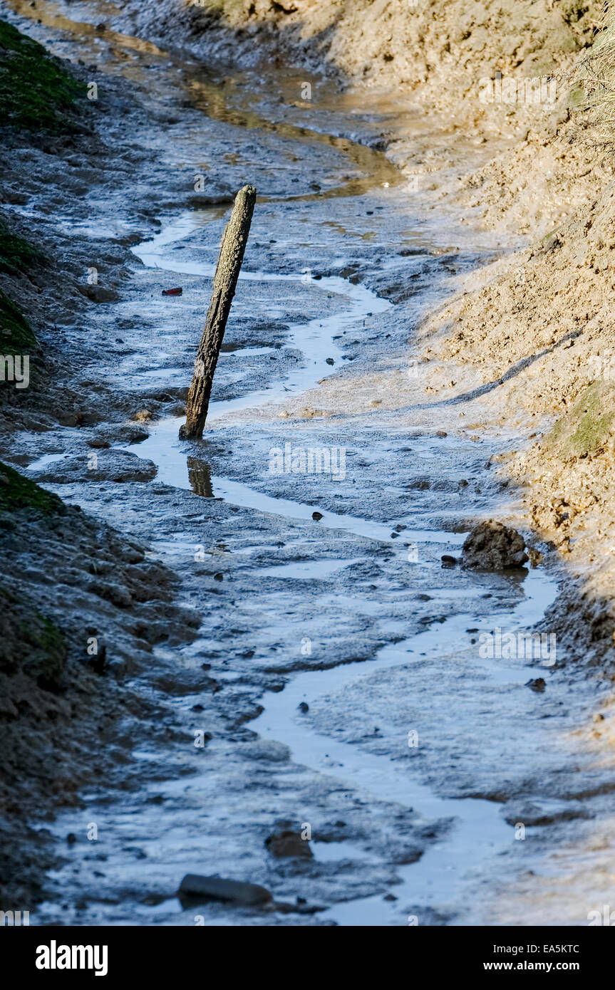 Single post standing in water channel running through tidal marsh mud flats in Essex, England Stock Photo