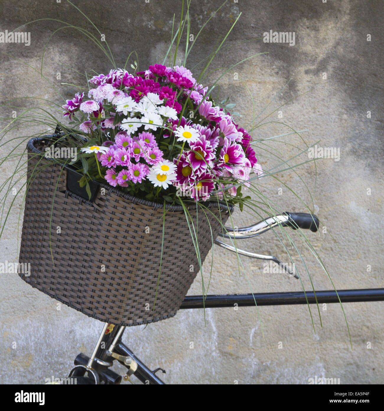 bicycle basket with flowers Stock Photo Alamy