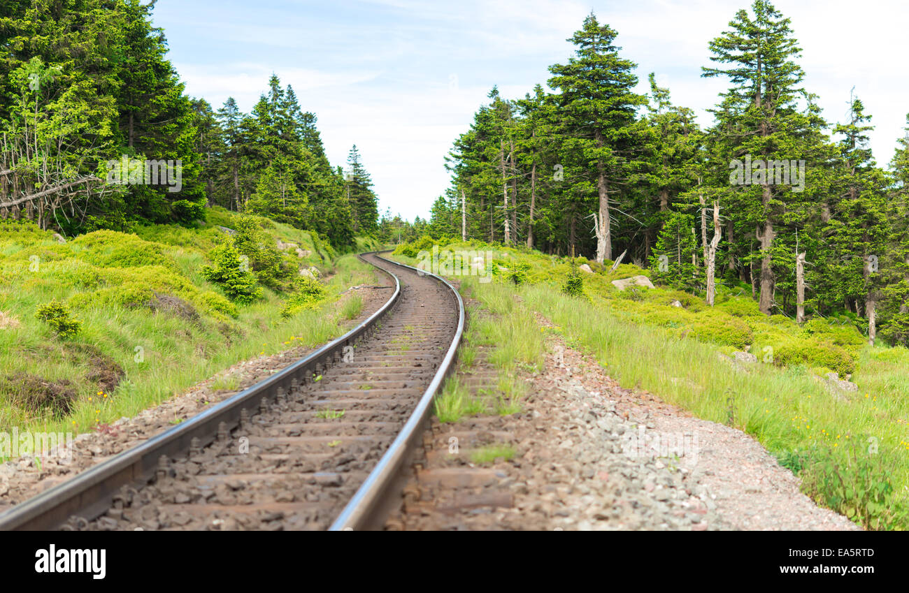 Railway line wildflowers hi-res stock photography and images - Alamy