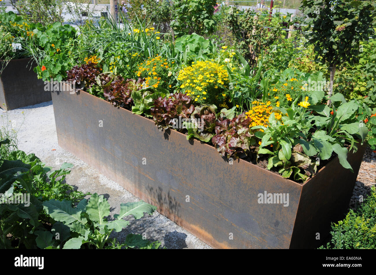 Raised bed vegetables flowers hi-res stock photography and images - Alamy
