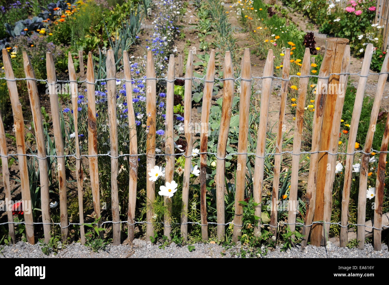 Cottage Garden Wooden Fence High Resolution Stock Photography and ...