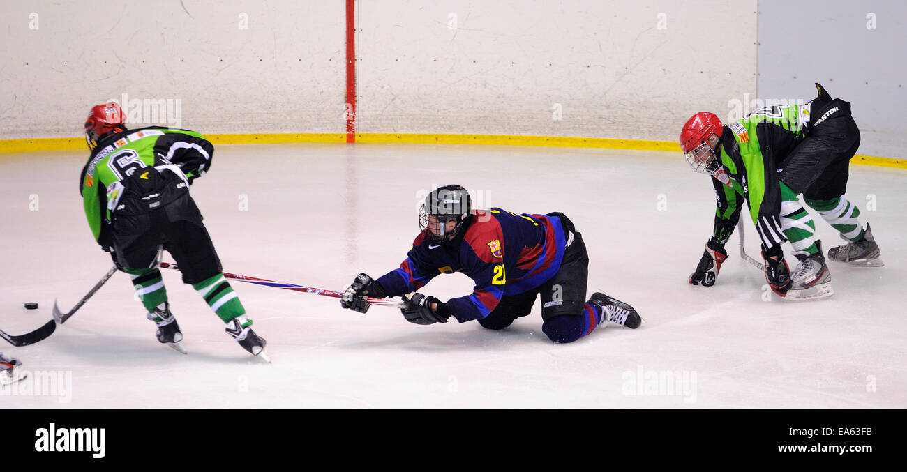 BARCELONA MAY 11 Players in action in the Ice Hockey final of the