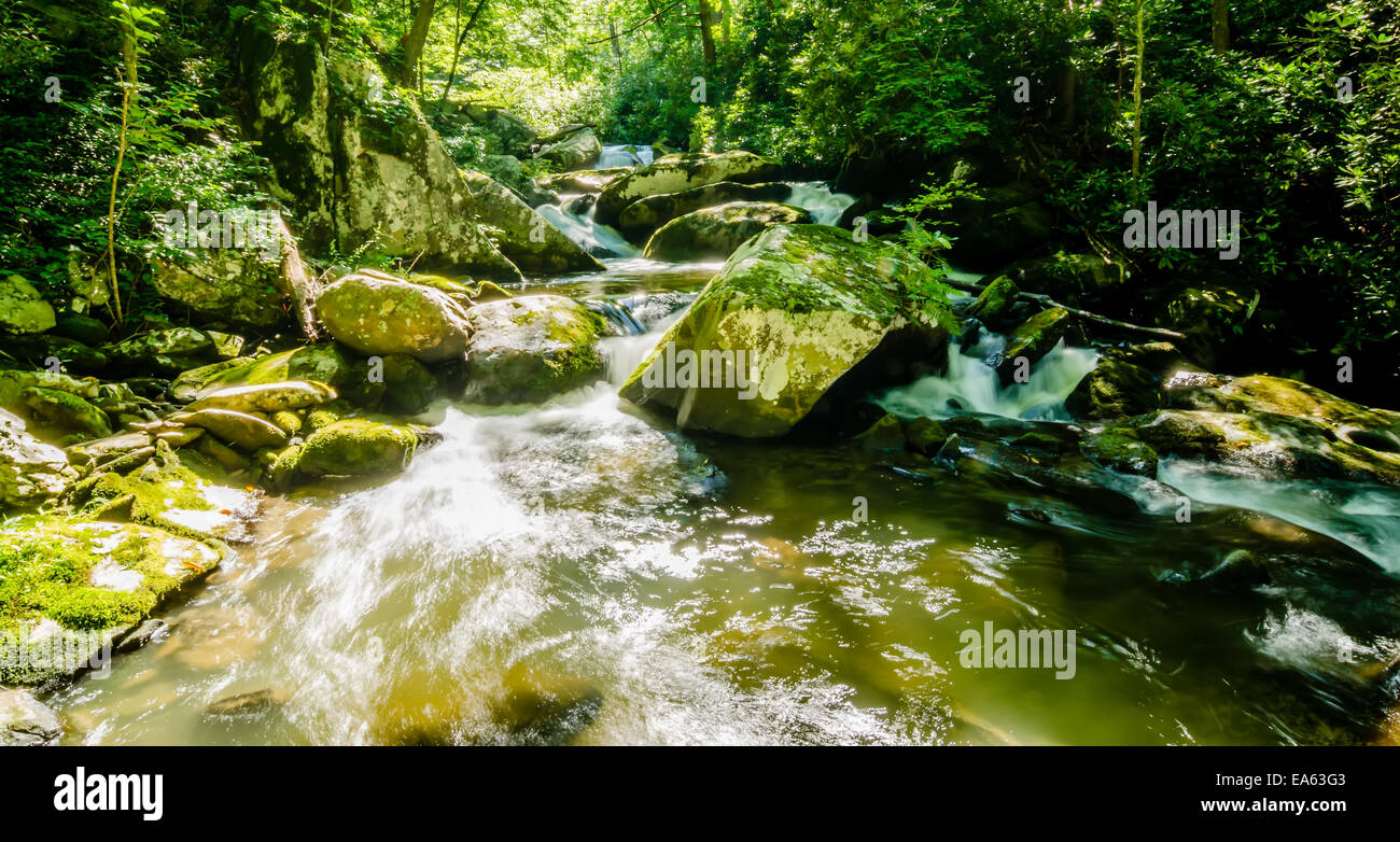 yellow creek falls great smoky mountains Stock Photo Alamy