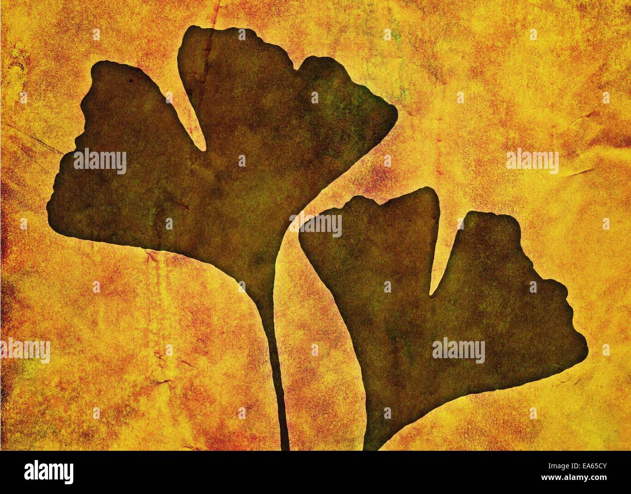 Genetik evolution hi-res stock photography and images - Alamy