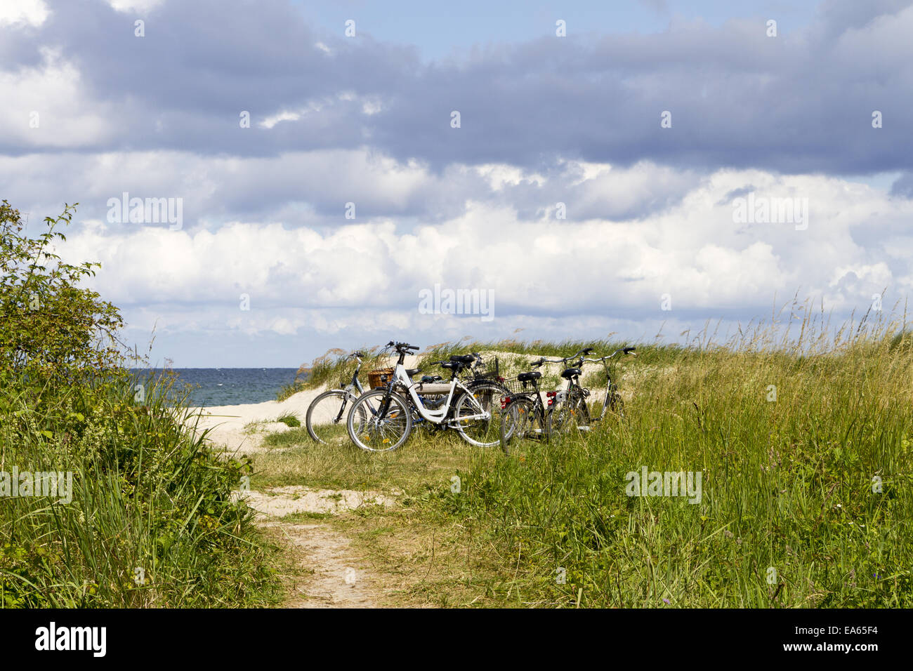 Baltic Sea coast Stock Photo