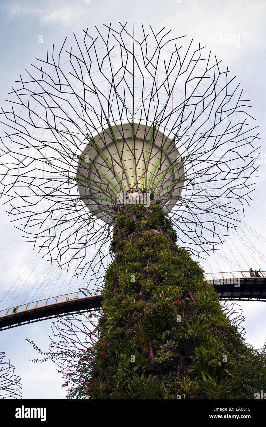 Singapore supertree hi-res stock photography and images - Alamy