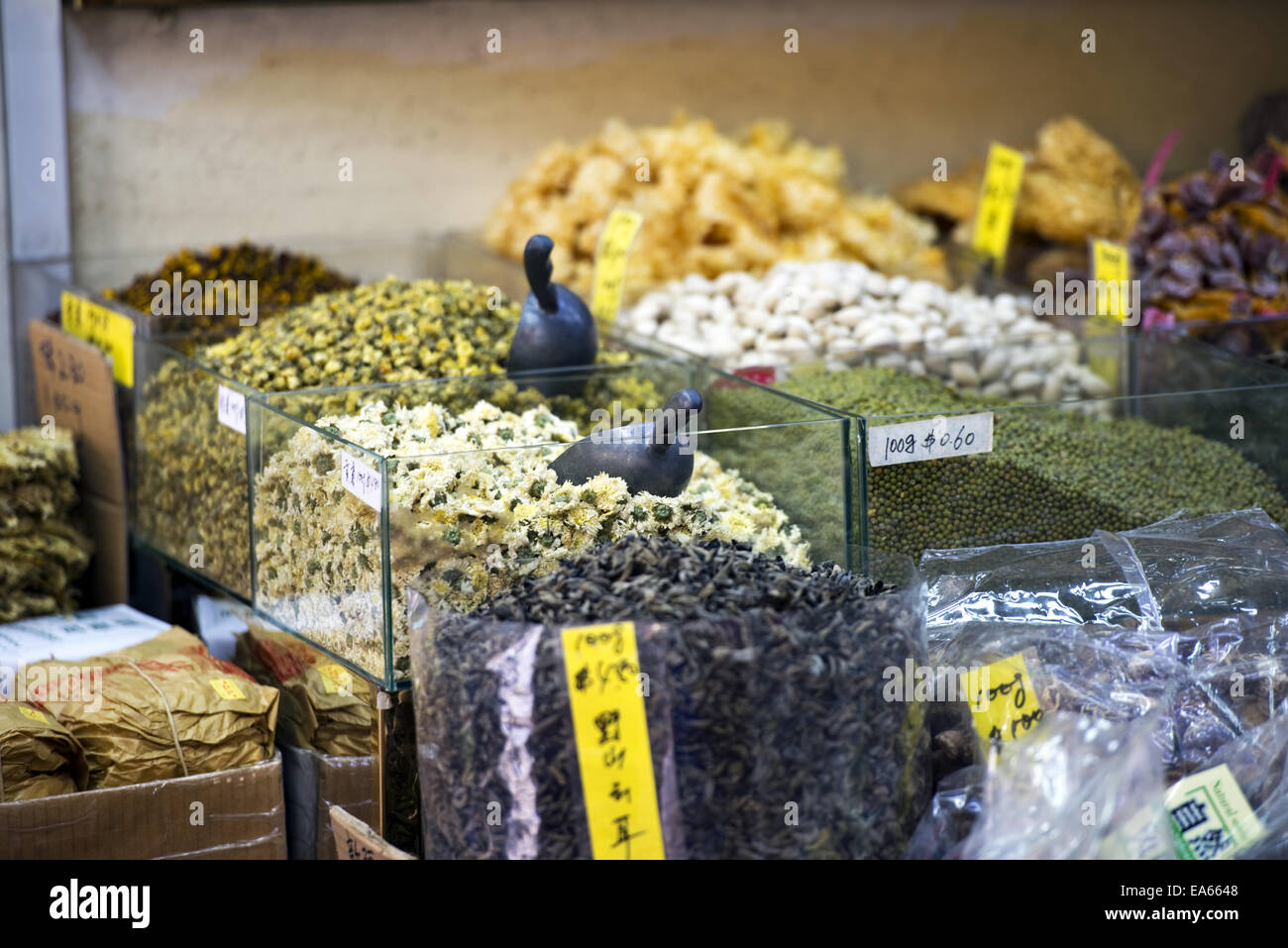 Ingredients for traditional Chinese medicine Stock Photo