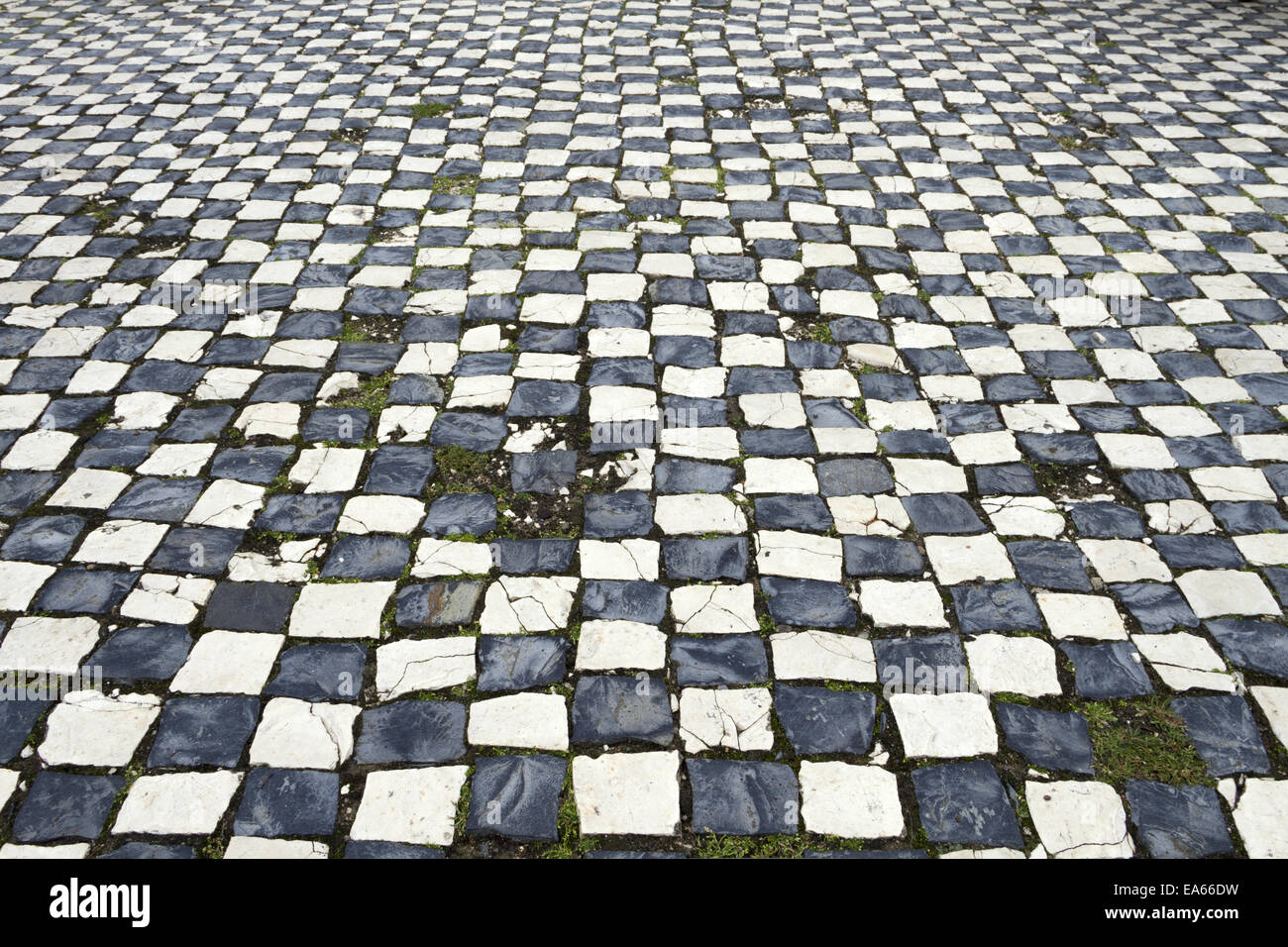 cobble-stone pavement Stock Photo