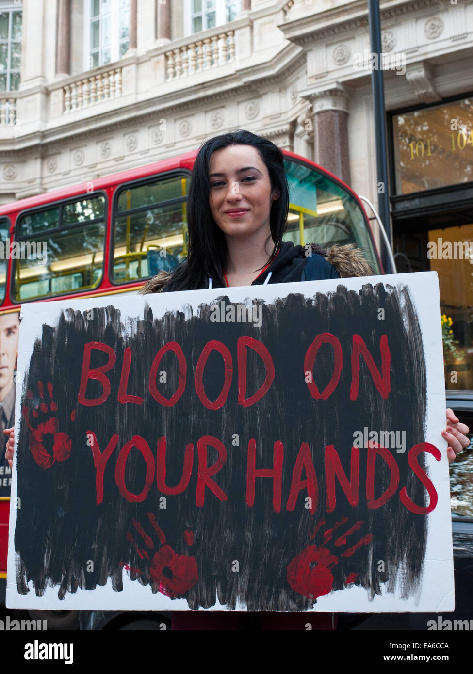 London, UK. 7th November, 2014. Hundreds of protesters gather opposite the Japanese Embassy in London to protest against the killing of the mammals during the dolphin drives that take place annually from September to March in Taiji, Higashimuro District, Wakayama Prefecture, Japan. Credit:  Pete Maclaine/Alamy Live News Stock Photo