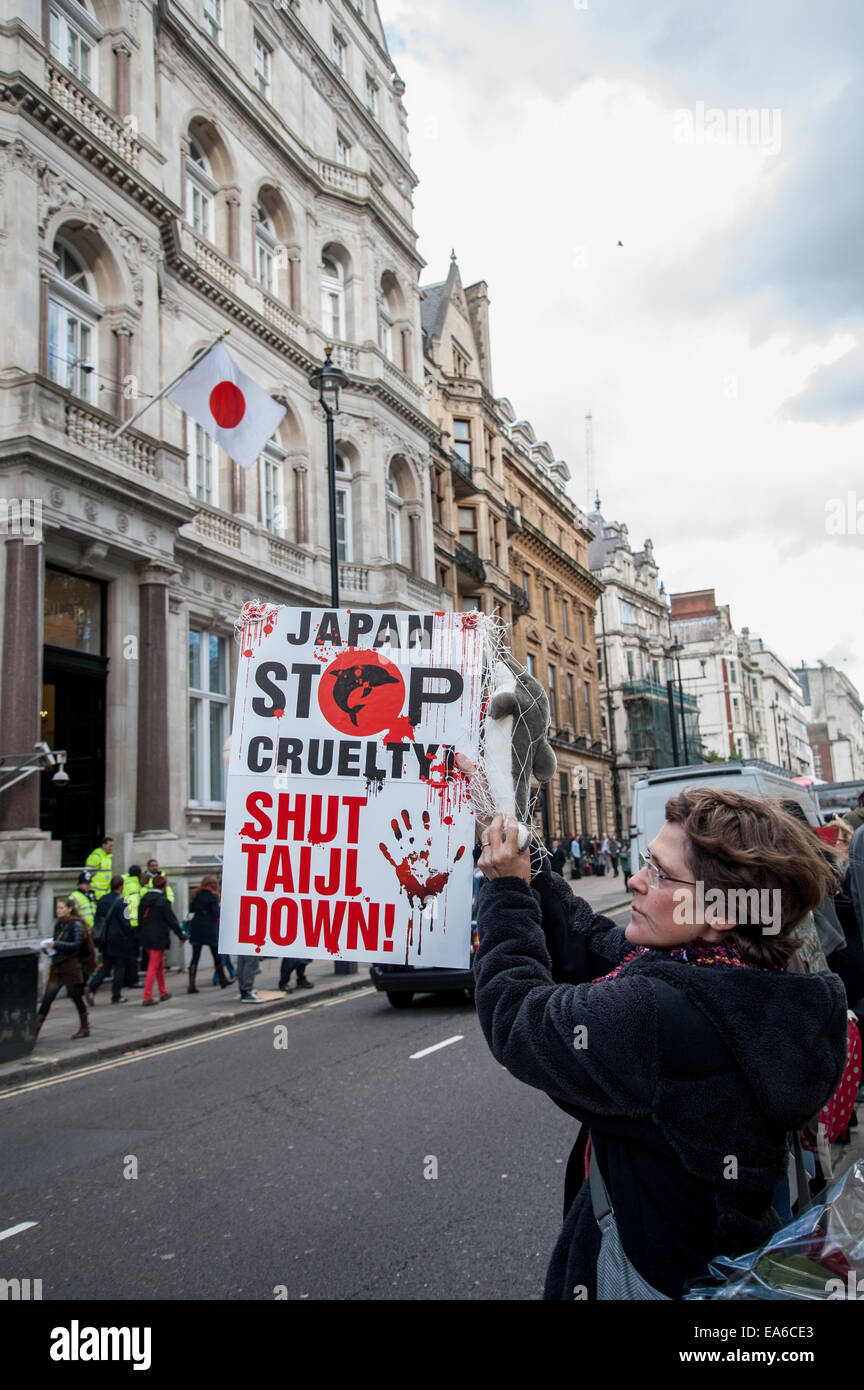 London, UK. 7th November, 2014. Hundreds of protesters gather opposite the Japanese Embassy in London to protest against the killing of the mammals during the dolphin drives that take place annually from September to March in Taiji, Higashimuro District, Wakayama Prefecture, Japan. Credit:  Pete Maclaine/Alamy Live News Stock Photo